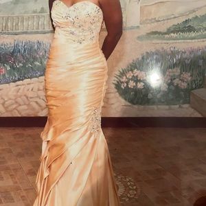 Paparazzi Brand Strapless Gown - Size 7/8